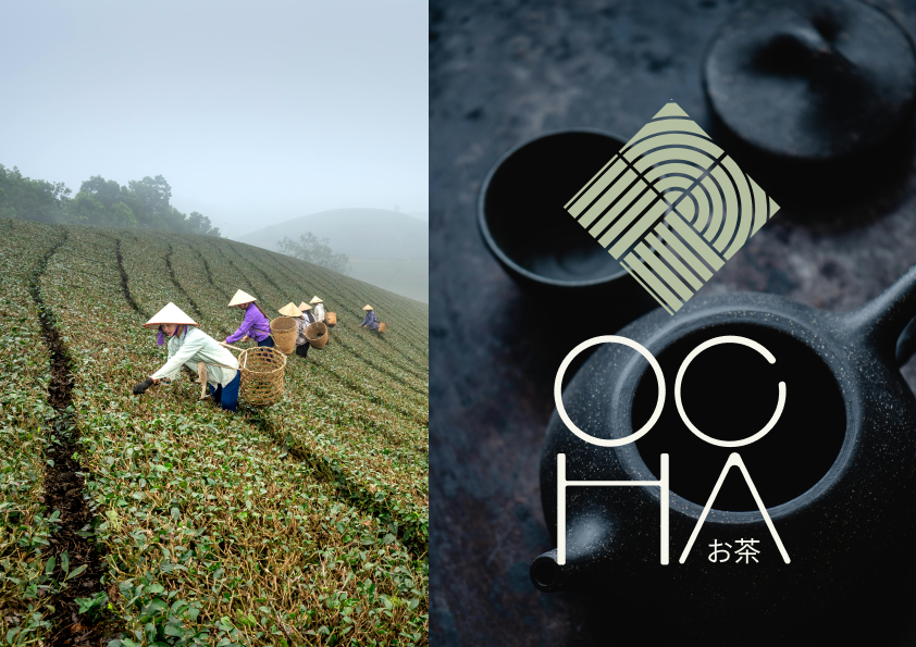 On the left a photograph of people gathering tea leaves in a field with misty sky. On the right a logo in pale green with a white text logo beneath which says OCHA. The logo is overlayed on a photograph of a black iron teapot and cup.