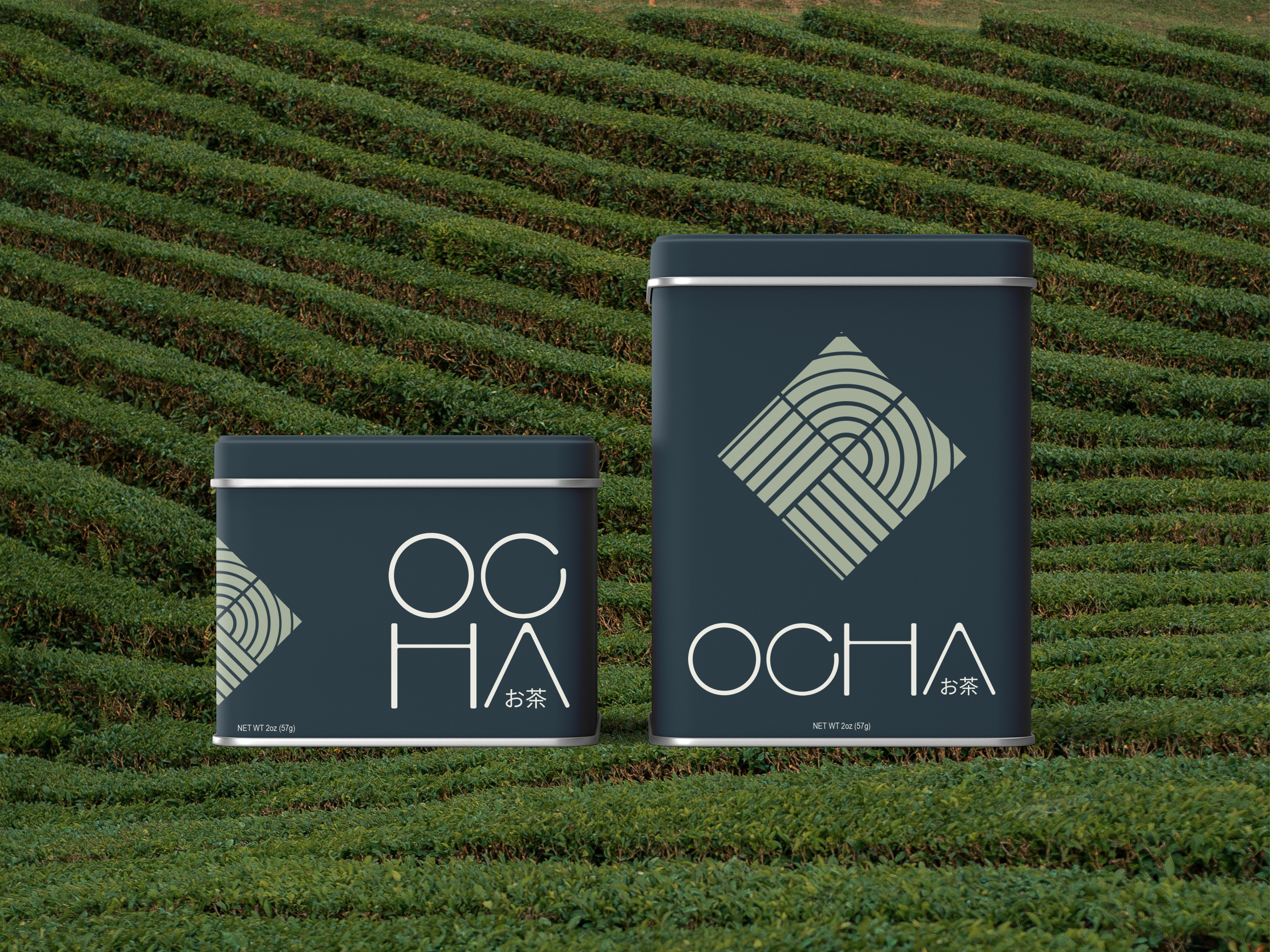 A photograph of terraced tea fields which create an uneven striped pattern. In front of the tea fields two tins of different sizes in dark blue with the Ocha logo in different configurations.